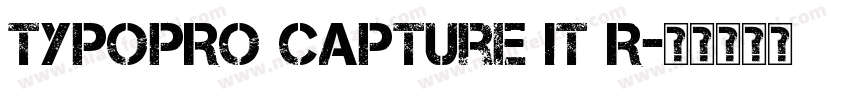 TypoPRO Capture It R字体转换